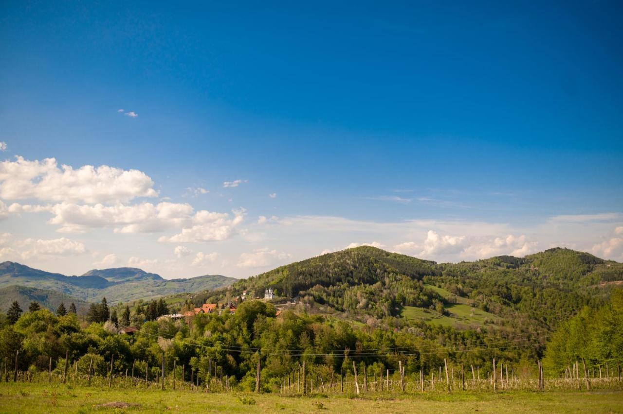 Vila Angelina Kušići Exterior foto